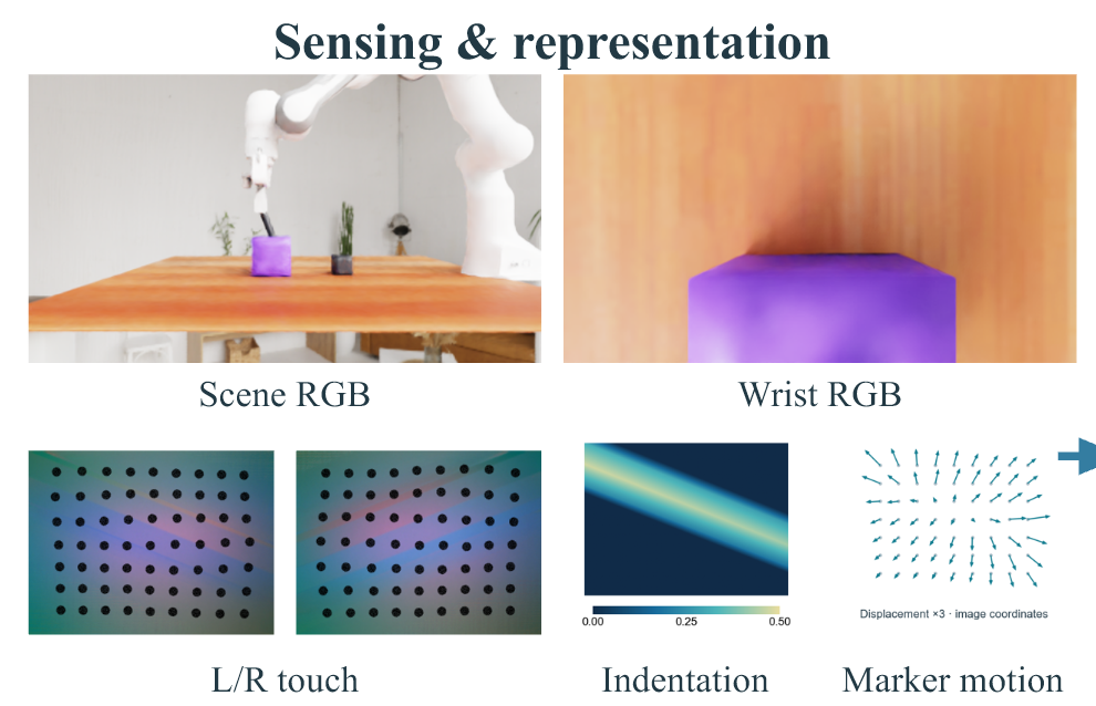 Sensing and representation: scene and wrist RGB, left and right touch, indentation, and marker motion.